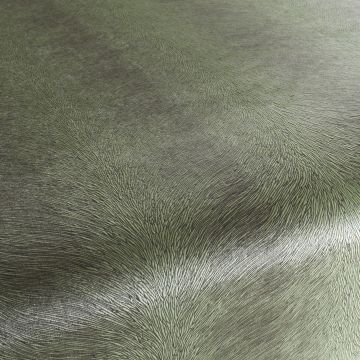 Chivasso - Pistoia Velvet Reloaded - CA1292/032