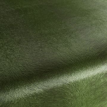 Chivasso - Pistoia Velvet Reloaded - CA1292/034