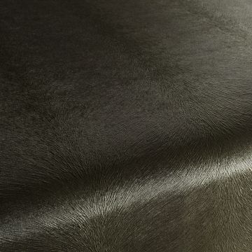 Chivasso - Pistoia Velvet Reloaded - CA1292/038