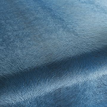 Chivasso - Pistoia Velvet Reloaded - CA1292/052