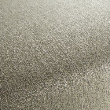 Chivasso - Metaphor - CA1518/031