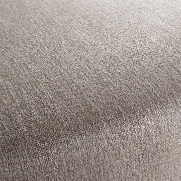 Chivasso - Metaphor - CA1518/071