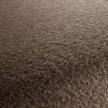 Chivasso - Supernatural - CA1594/020