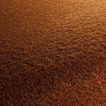 Chivasso - Supernatural - CA1594/060