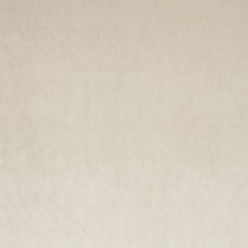 Chivasso - Palazzo Velvet CA1175/070