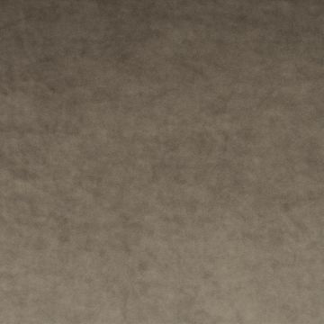 Chivasso - Palazzo Velvet CA1175/071