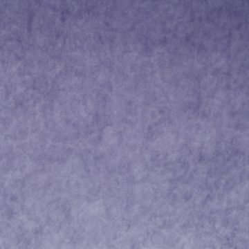 Chivasso - Palazzo Velvet CA1175/082