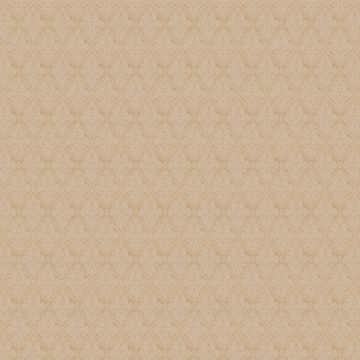 Chivasso - Magnifico CA1427/020