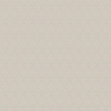 Chivasso - Magnifico CA1427/070