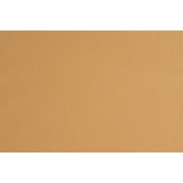 Christian Fischbacher - Aric - 14483.167