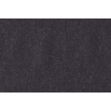 Christian Fischbacher - Polaris - 14393.306