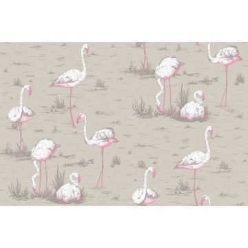Cole & Son - Flamingos - F111/3011LU