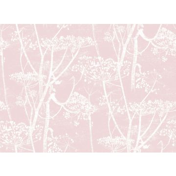 Cole & Son - Cow Parsley Linen - F111/5018