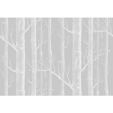 Cole & Son - Woods - F111/7025LU