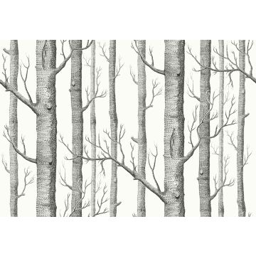 Cole & Son - Woods - F111/7026LU