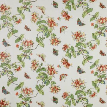 Colefax and Fowler - Honeysuckle - 01090/02 Yellow/Orange