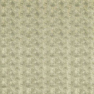 Colefax and Fowler - Malabar - 03051/03 Green