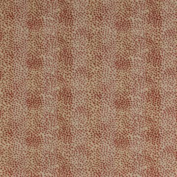 Colefax and Fowler - Malabar - 03051/04 Coral