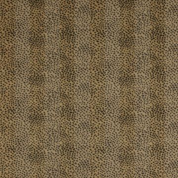 Colefax and Fowler - Malabar - 03051/13 Charcoal