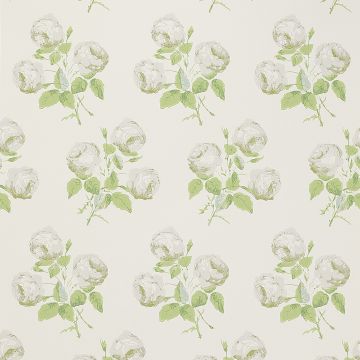 Colefax and Fowler - Jardine Florals - Bowood - 07401-10 - Silver-Leaf