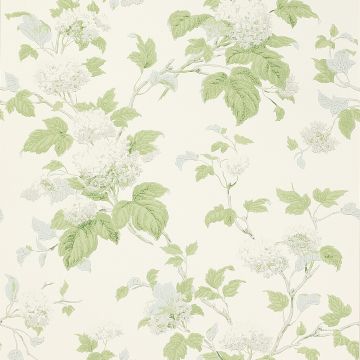 Colefax and Fowler - Jardine Florals - Chantilly - 07816-07 - Silver-Forest Green