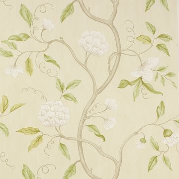 Colefax and Fowler - Jardine Florals - Snow Tree - 07949-13 - Ivory