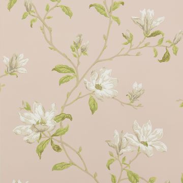 Colefax and Fowler - Jardine Florals - Marchwood - 07976-10 - Shell Pink