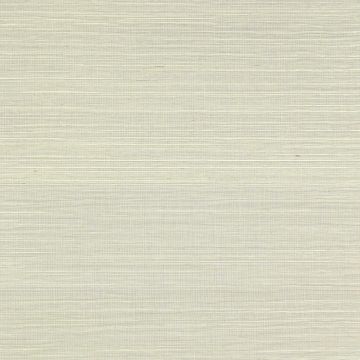 Colefax and Fowler - Colefax Naturals I - Seagrass - 20232-06 - Sky