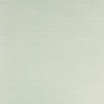 Colefax and Fowler - Colefax Naturals I - Seagrass - 20232-12 - Celeste