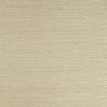 Colefax and Fowler - Colefax Naturals I - Seagrass - 20232-17 - Stone