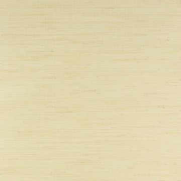 Colefax and Fowler - Colefax Naturals I - Grasscloth - 20233-01 - Parchment