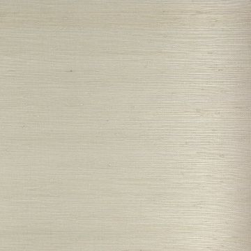 Colefax and Fowler - Colefax Naturals I - Grasscloth - 20233-04 - Cloud