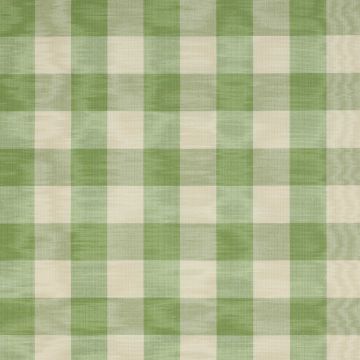 Colefax and Fowler - Eaton Check - F1001/10 Sage
