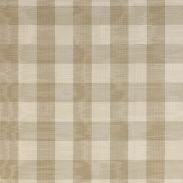 Colefax and Fowler - Eaton Check - F1001/22 Flax