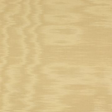 Colefax and Fowler - Eaton Plain - F2104/18 Maize