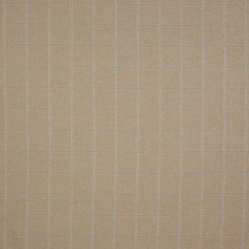 Colefax and Fowler - Lanark Plaid - F2616/10 Pale Beige