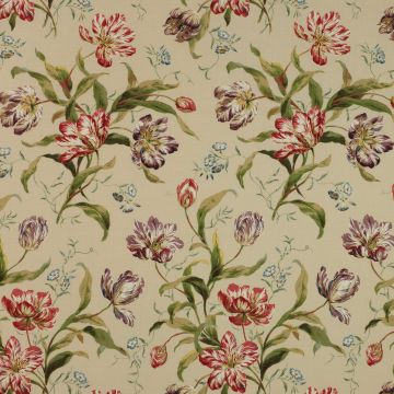 Colefax and Fowler - Delft Tulips - F2823/02 Red/Purple