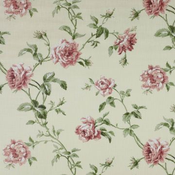 Colefax and Fowler - Amelie - F3421/01 Pink/Green