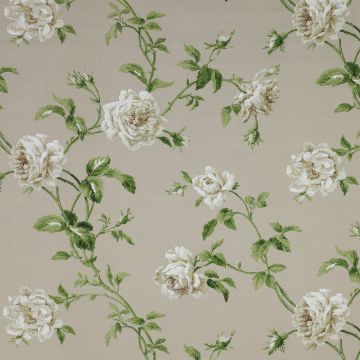 Colefax and Fowler - Amelie - F3423/01 Cream/Green