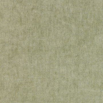 Colefax and Fowler - Mylo - F3506/25 Sage