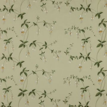 Colefax and Fowler - Viviers - F3513/03 Pale Leaf