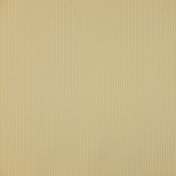 Colefax and Fowler - Dart Stripe - F3514/03 Yellow