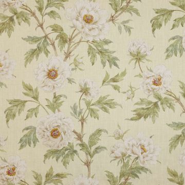 Colefax and Fowler - Tree Peony - F3527/01 Ivory/Leaf