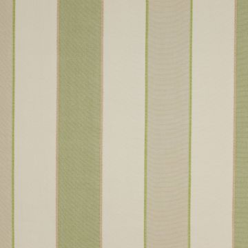 Colefax and Fowler - Callan Stripe - F3616/01 Leaf Green