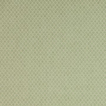 Colefax and Fowler - Bennett - F3624/06 Leaf