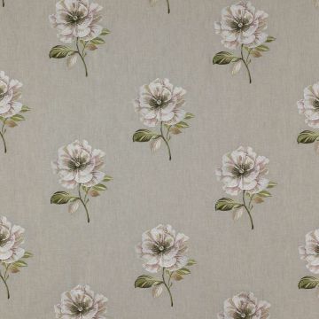 Colefax and Fowler - Louise Linen - F3709/02 Natural