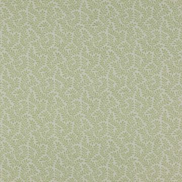 Colefax and Fowler - Rushmere - F3717/06 Leaf