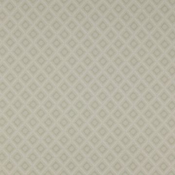Colefax and Fowler - Fordham - F3719/02 Pale Leaf