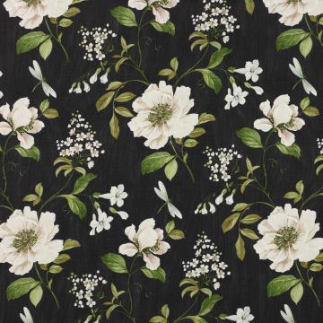 Colefax and Fowler - Evesham - F3802/04 Black