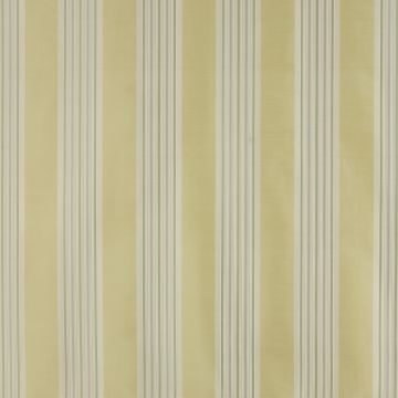 Colefax and Fowler - Maycott - F3820/03 Yellow/Green